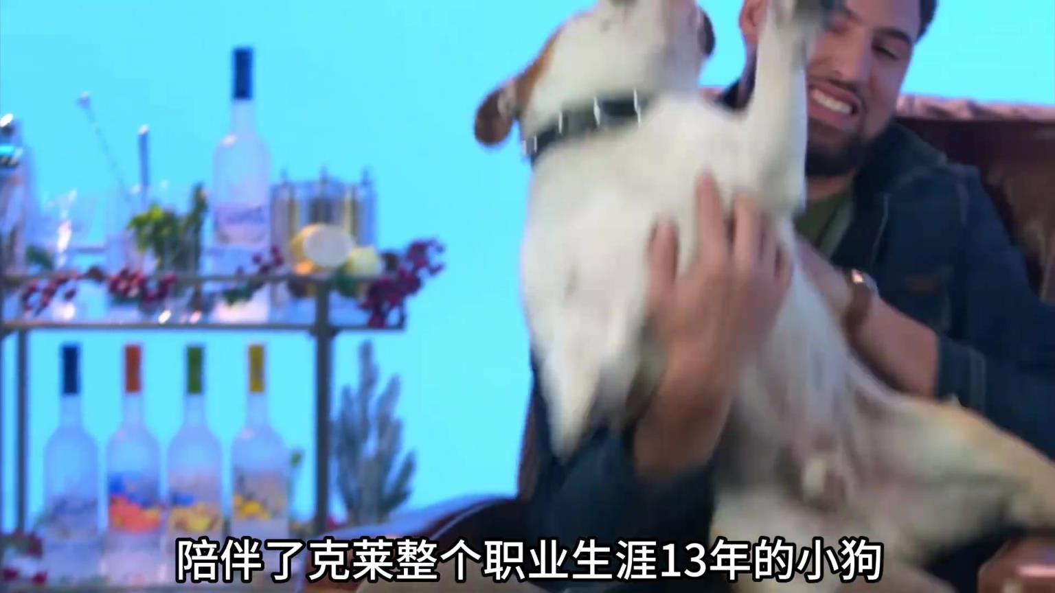 陪伴克萊13年的小狗去世了，不敢相信克萊得多么傷心